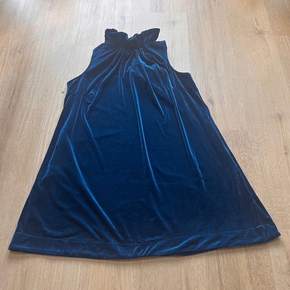 NWOT-Umgee Blue Velvet Shift Dress Size Large with pockets